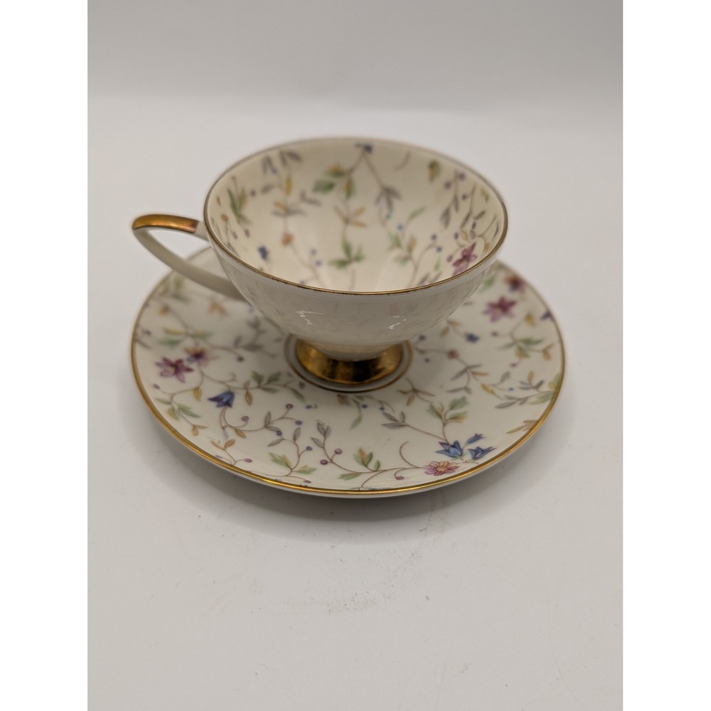 Alka Bavaria Vintage Floral Porcelain Teacup and Saucer Gold Trim 936 Germany